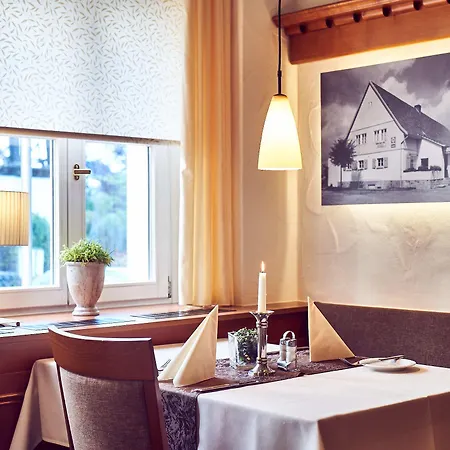 Hotel Am Traetzhof 3*