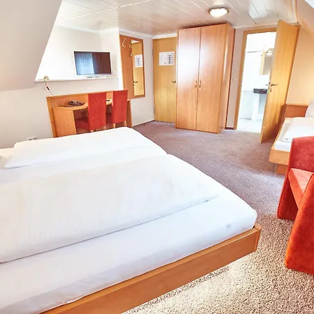 Am Traetzhof Hotel 3*