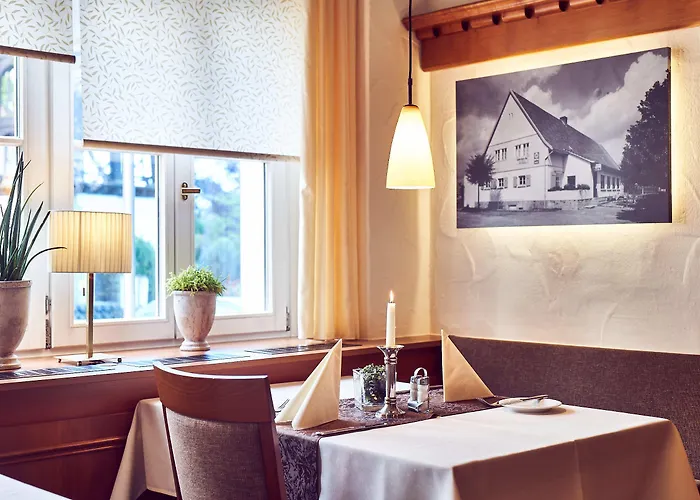 Hotel Am Traetzhof 3*